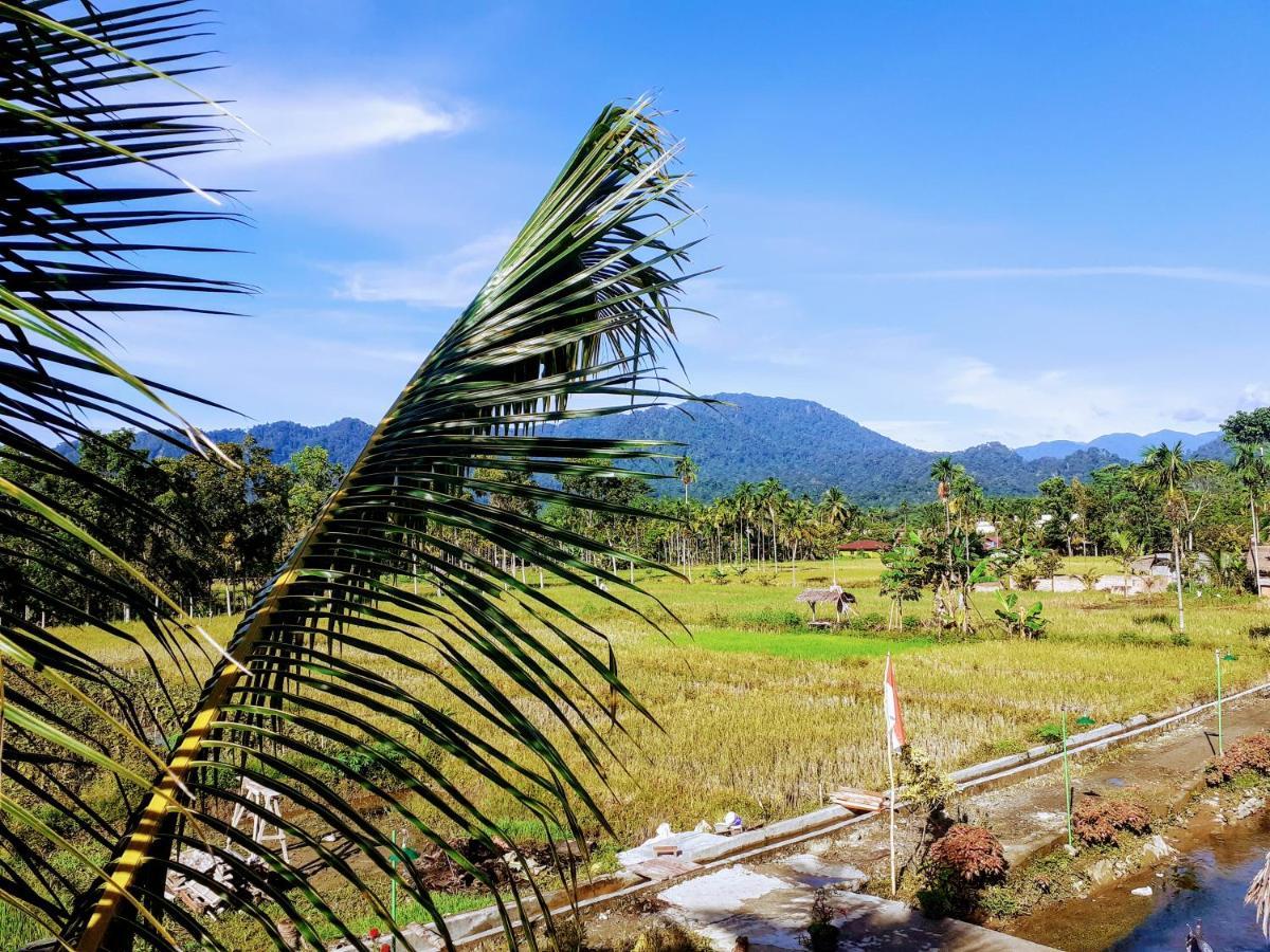 Sumatra Expedition Lodge Bukit Lawang Zewnętrze zdjęcie