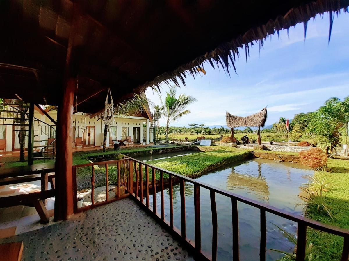 Sumatra Expedition Lodge Bukit Lawang Zewnętrze zdjęcie