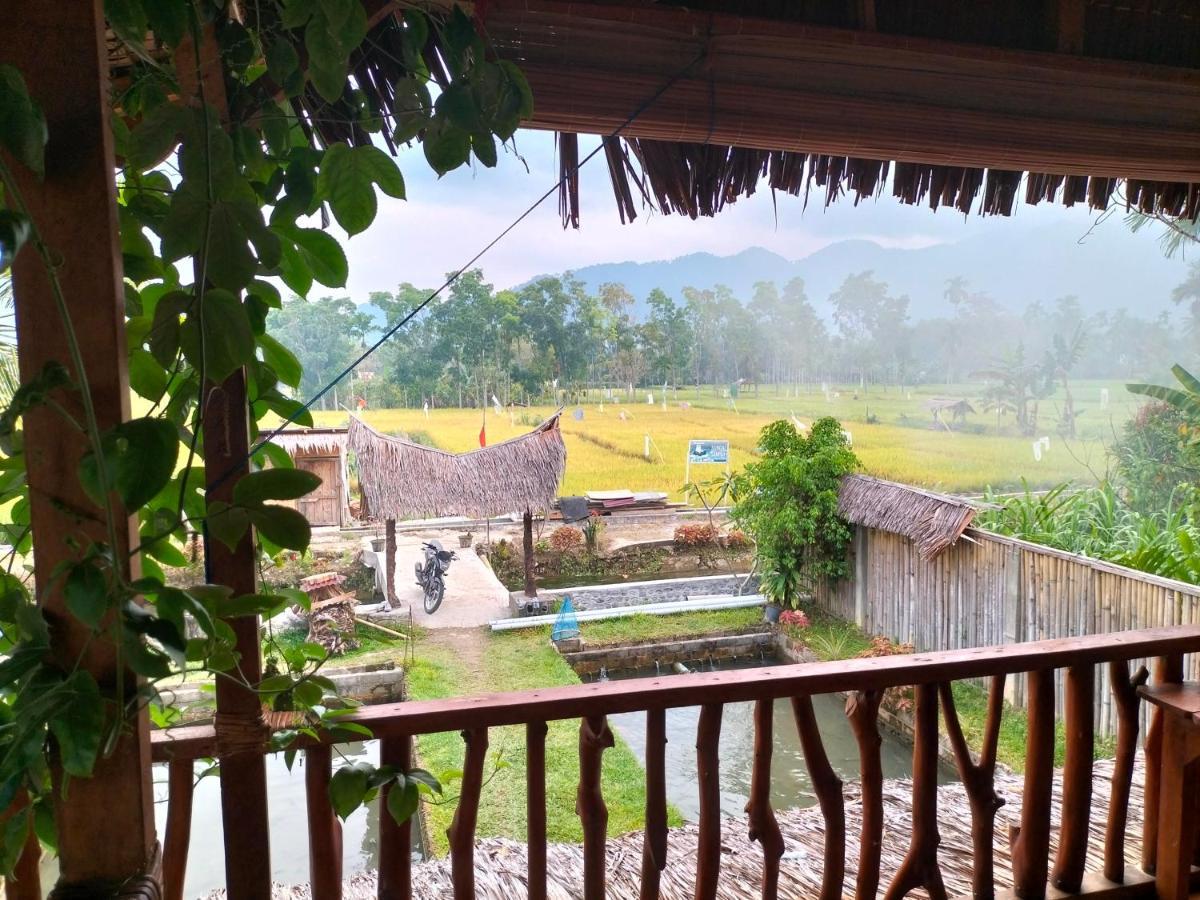 Sumatra Expedition Lodge Bukit Lawang Zewnętrze zdjęcie