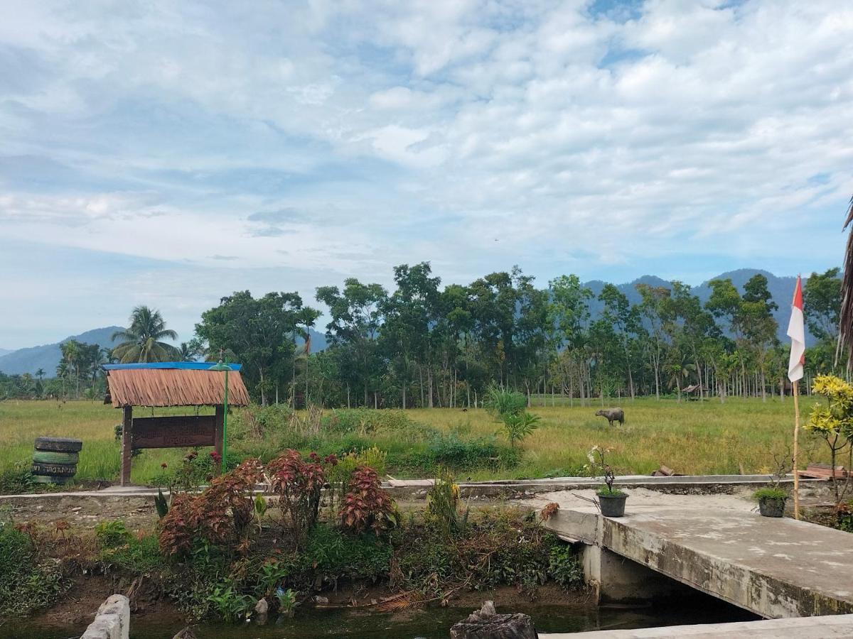 Sumatra Expedition Lodge Bukit Lawang Zewnętrze zdjęcie