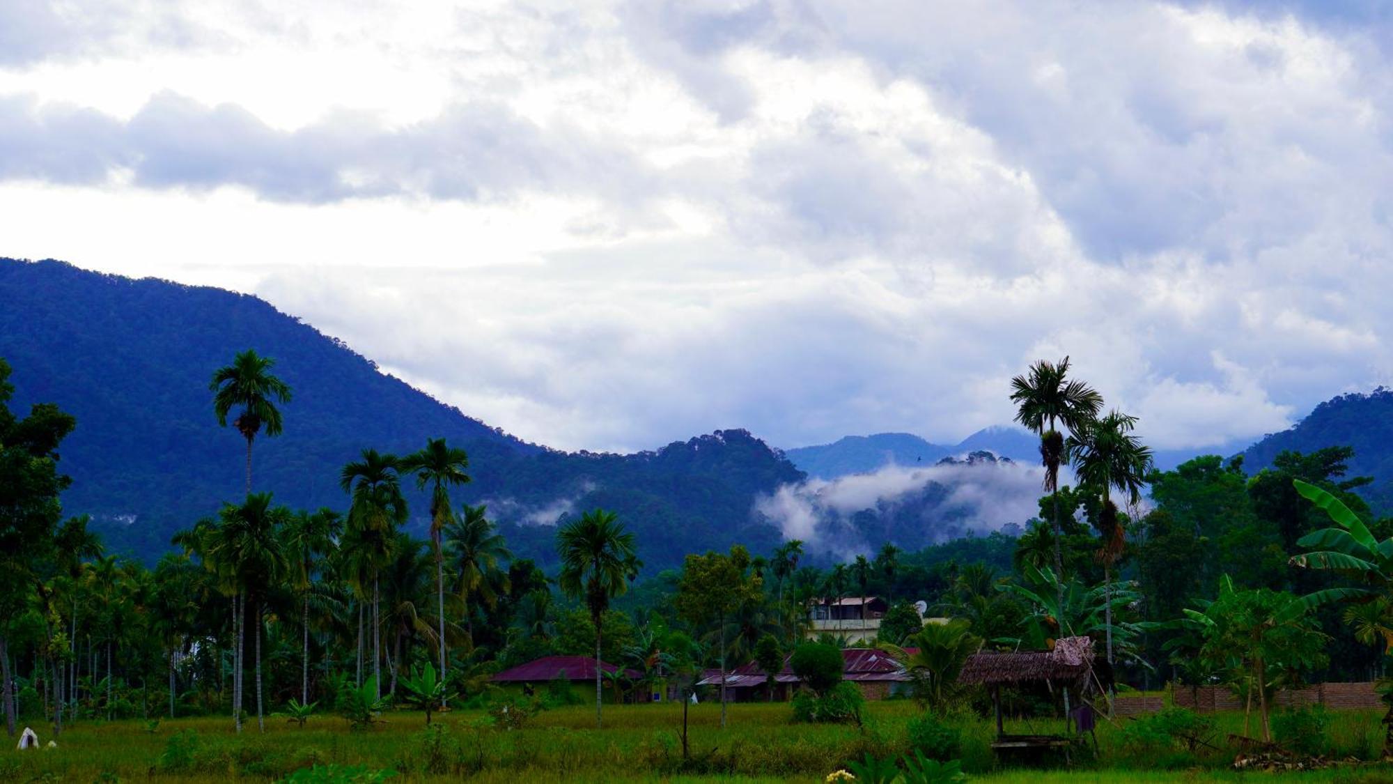 Sumatra Expedition Lodge Bukit Lawang Zewnętrze zdjęcie