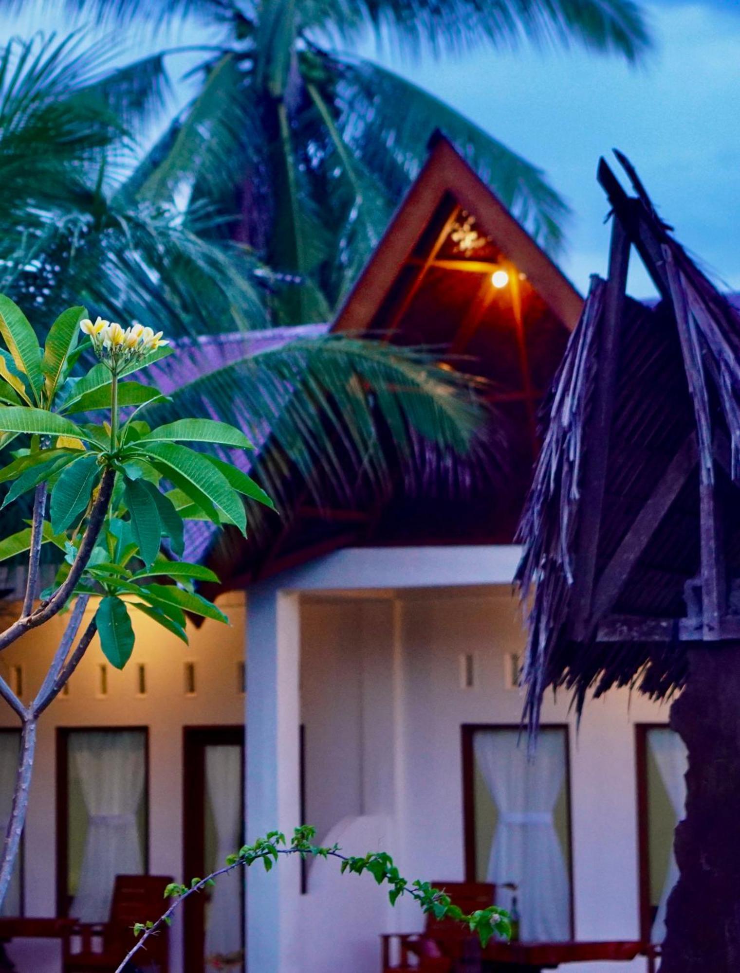 Sumatra Expedition Lodge Bukit Lawang Zewnętrze zdjęcie