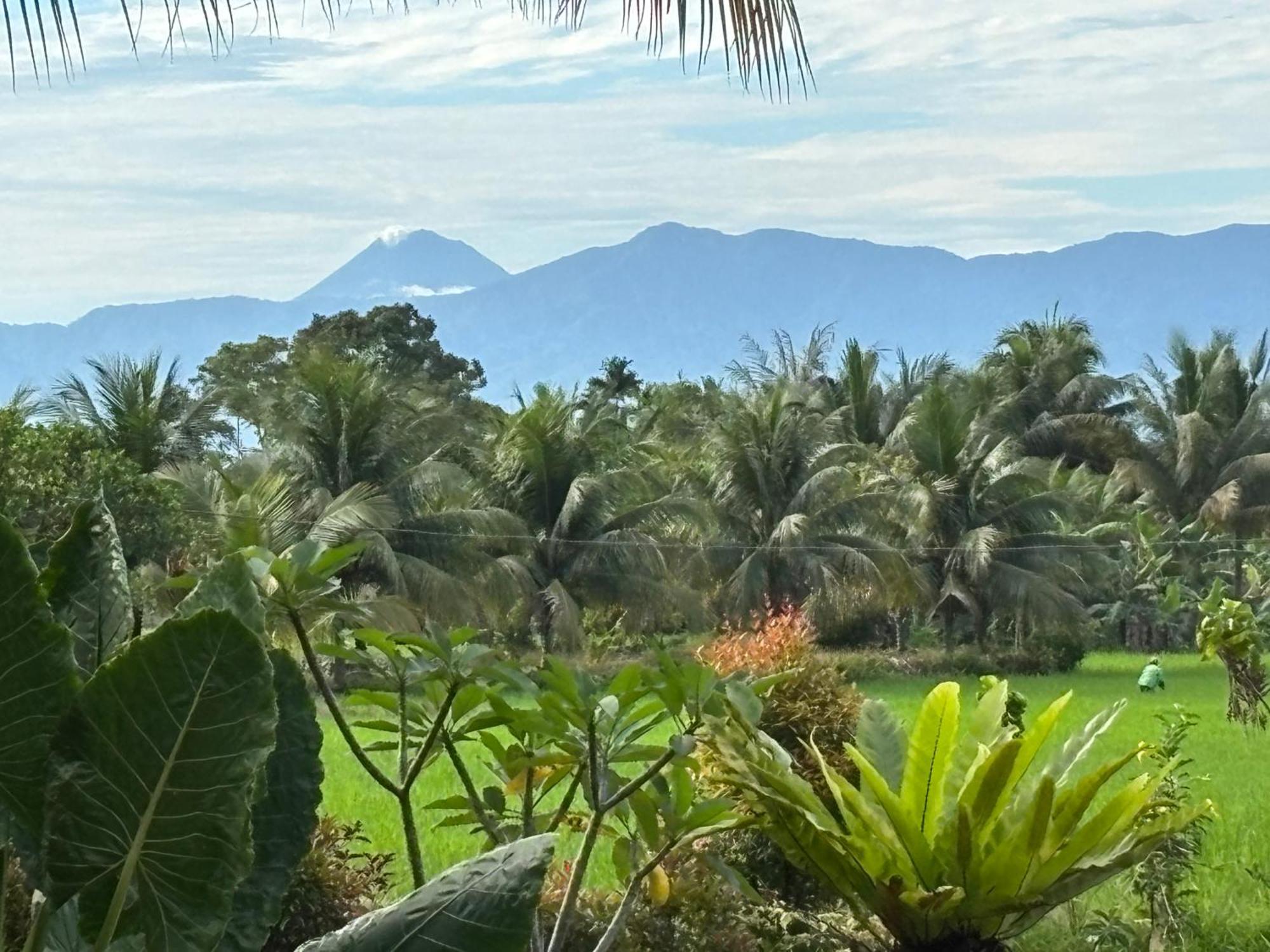 Sumatra Expedition Lodge Bukit Lawang Zewnętrze zdjęcie
