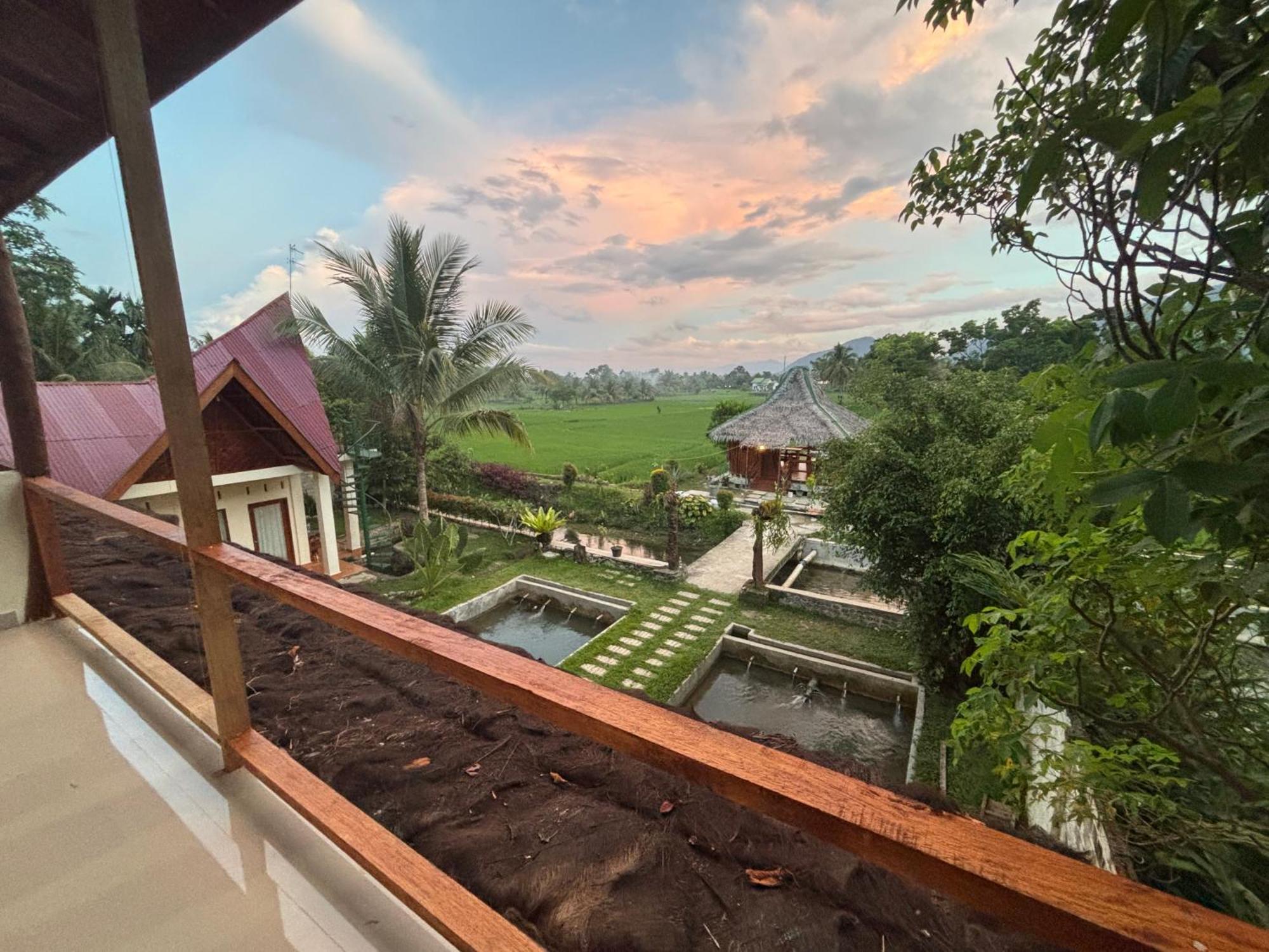 Sumatra Expedition Lodge Bukit Lawang Zewnętrze zdjęcie