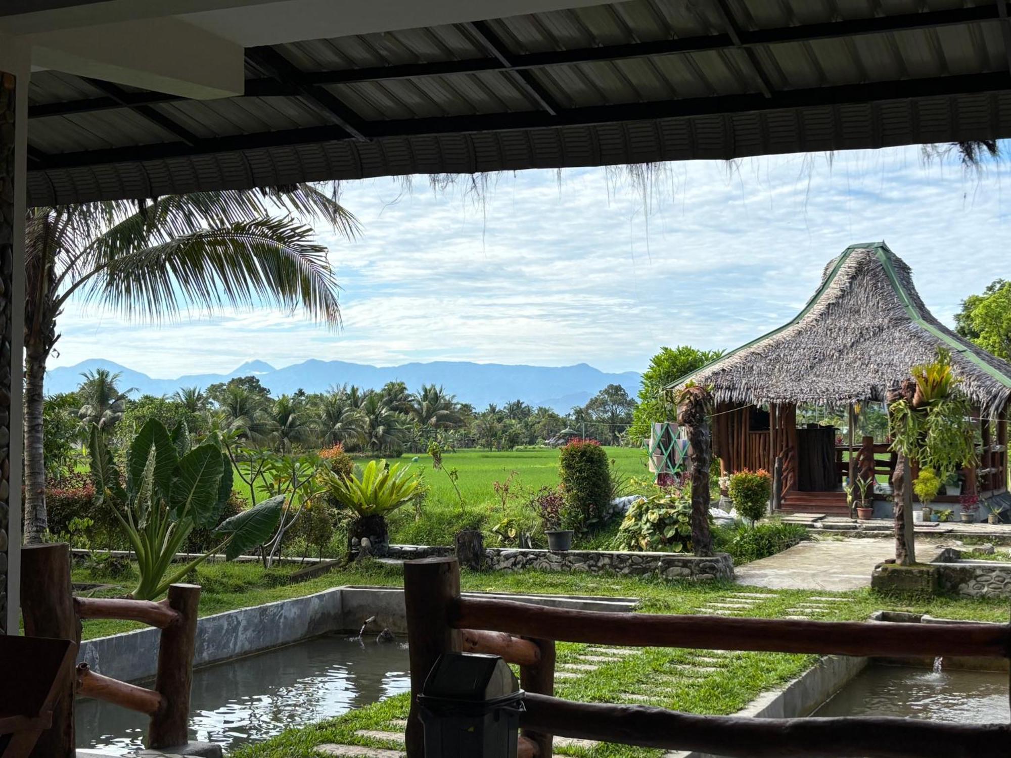 Sumatra Expedition Lodge Bukit Lawang Zewnętrze zdjęcie