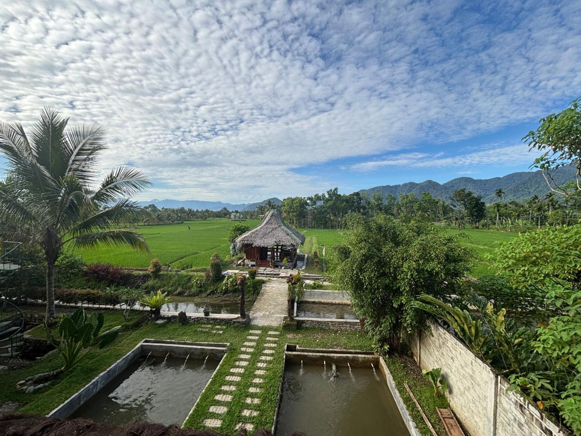 Sumatra Expedition Lodge Bukit Lawang Zewnętrze zdjęcie